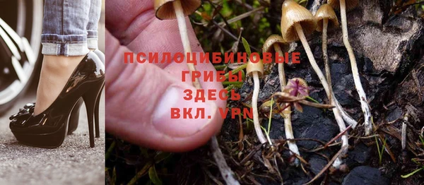 первитин Арсеньев